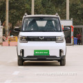 Electric vehicle wuling hongguang mini